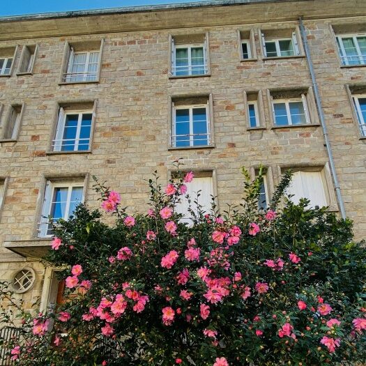 Avocat en droit du travail et droit de la sécurité sociale. Nantes, Angers, La Roche sur Yon, Rennes. Conseil de prud'hommes, Cour d'appel, tribunal administratif. Licenciement, rupture conventionnelle, inaptitude, négociation, harcèlement, burn out, France Travail, ARCE, ARE, allocation chômage, accident du travail, maladie professionnelle, CDD, CDI, CPAM, assurance maladie, indemnité journalière, licenciement sans cause réelle et sérieuse, licenciement abusif, licenciement nul, Cadre, clause de non concurrence, heures supplémentaires, convention de forfait en jours